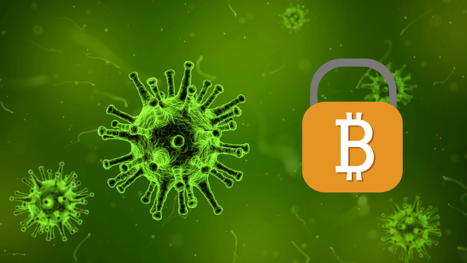 Bitcoin (BTC) als sicherer Hafen gegen Coronavirus?