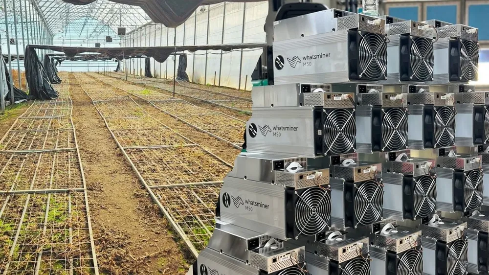 landwirtschaft-trifft-bitcoin-infinity-hash-electricity-mining