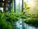 advanced-blockchain-ag-transformiert-sich-fuer-nachhaltiges-wachstum-und-stabilitaet