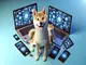 besitzt-vitalik-buterin-50-von-shiba-inu-shib