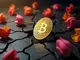 bitcoin-crash-droht-uns-eine-moderne-tulpenmanie