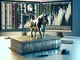 donald-trump-haelt-ethereum-im-wert-von-bis-zu-500-000-us-dollar