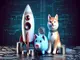 elon-musk-und-dogecoin-mitgruender-ziehen-ueber-gehypte-kryptowaehrungen-her