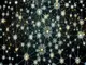 ethereum-netzwerk-verbrennt-fast-170-millionen-us-dollar
