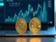 xrp-und-bitcoin-auf-rekordkurs-wrapped-xrp-mining-trends-und-etf-rallye-im-fokus